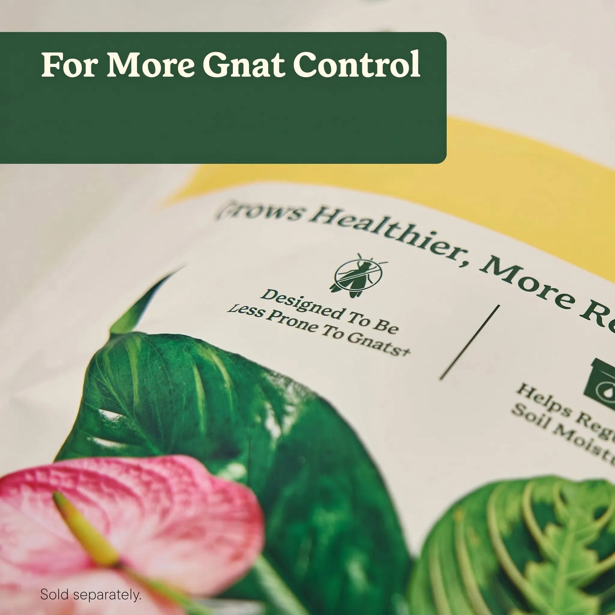 50%OFF 🔥4-in-1 Indoor Plant Pest Control & Leaf Shine Spray