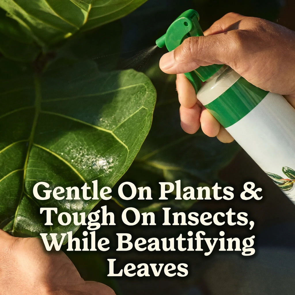 50%OFF 🔥4-in-1 Indoor Plant Pest Control & Leaf Shine Spray