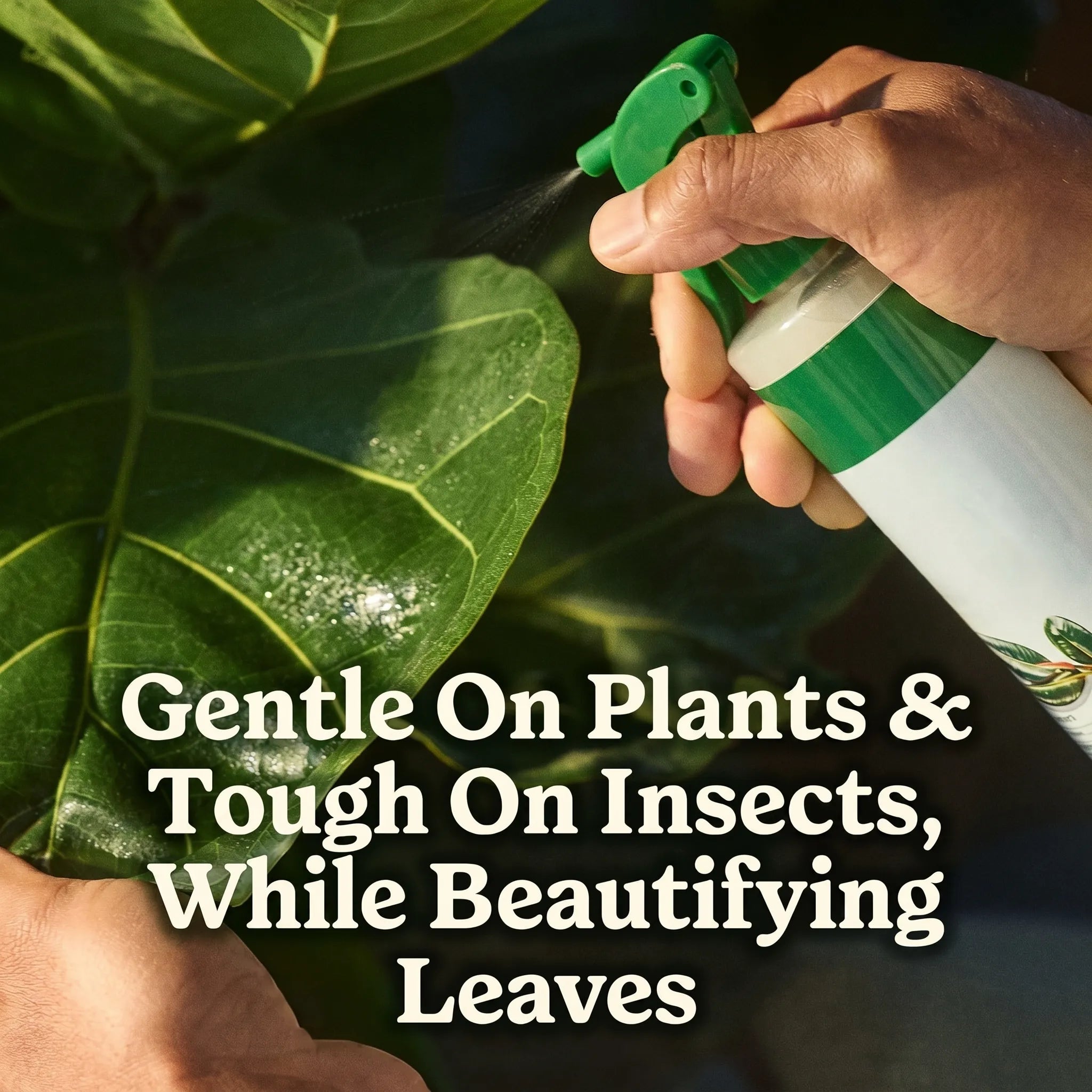50%OFF 🔥4-in-1 Indoor Plant Pest Control & Leaf Shine Spray