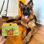 50%OFF 🔥Vet-Recommended Dog Calming Plug-in Diffuser with Pheromone Technology for Long-Lasting Comfort