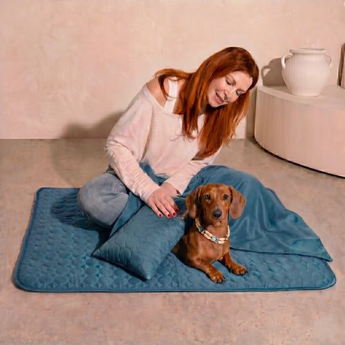 50%OFF 🔥3-in-1 Summer Pet Cooling Bed Set - Ice Silk Mat, Sheet & Pillow for Dogs