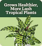 50%OFF 🔥4-in-1 Indoor Plant Pest Control & Leaf Shine Spray