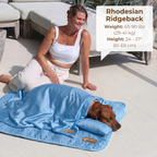 50%OFF 🔥3-in-1 Summer Pet Cooling Bed Set - Ice Silk Mat, Sheet & Pillow for Dogs