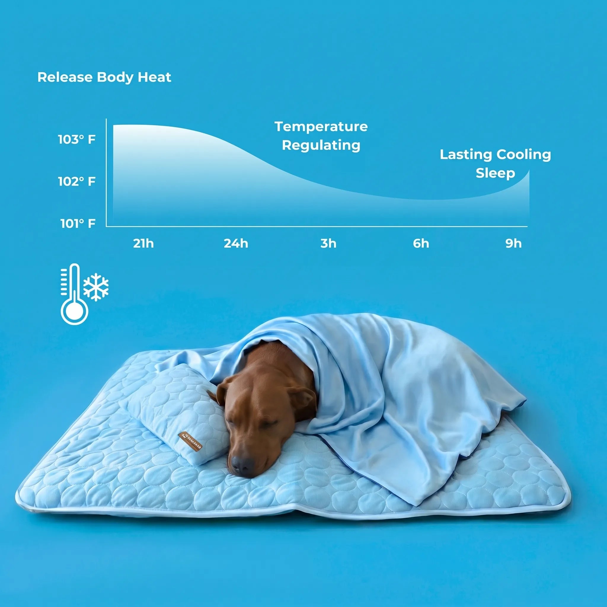 50%OFF 🔥3-in-1 Summer Pet Cooling Bed Set - Ice Silk Mat, Sheet & Pillow for Dogs