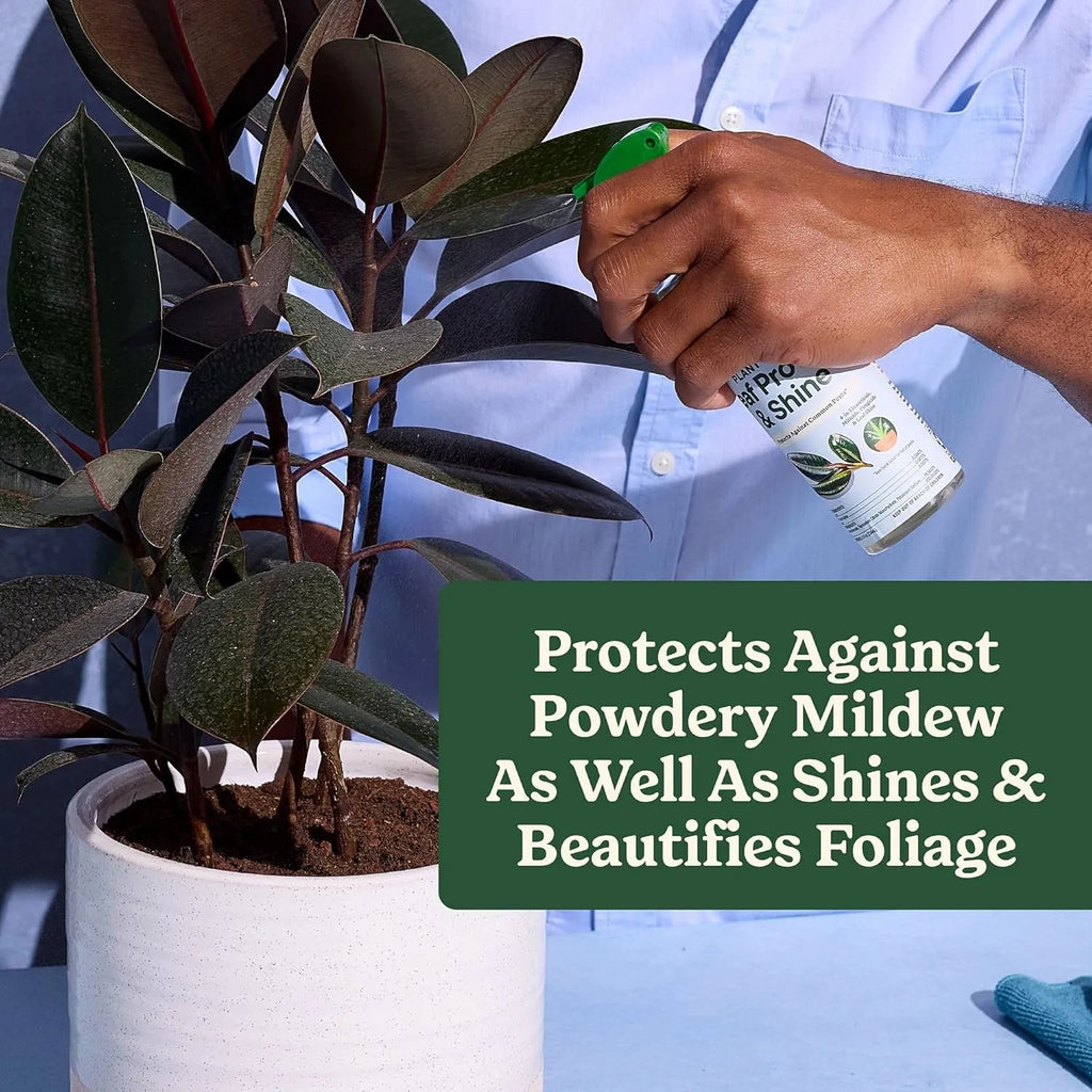50%OFF 🔥4-in-1 Indoor Plant Pest Control & Leaf Shine Spray