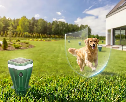 Solar Ultrasonic Outdoor Animal Repellent