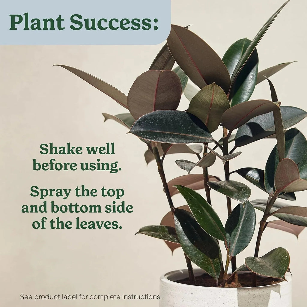 50%OFF 🔥4-in-1 Indoor Plant Pest Control & Leaf Shine Spray