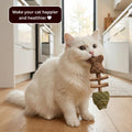 50%OFF 🔥Catnip & Silvervine Chew
