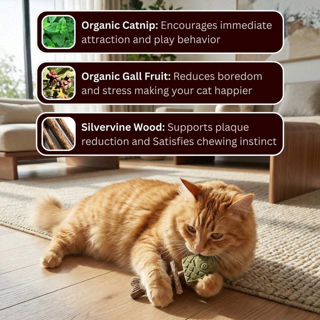 50%OFF 🔥Catnip & Silvervine Chew