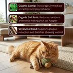 50%OFF 🔥Catnip & Silvervine Chew