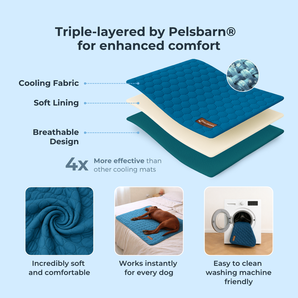 50%OFF 🔥3-in-1 Summer Pet Cooling Bed Set - Ice Silk Mat, Sheet & Pillow for Dogs