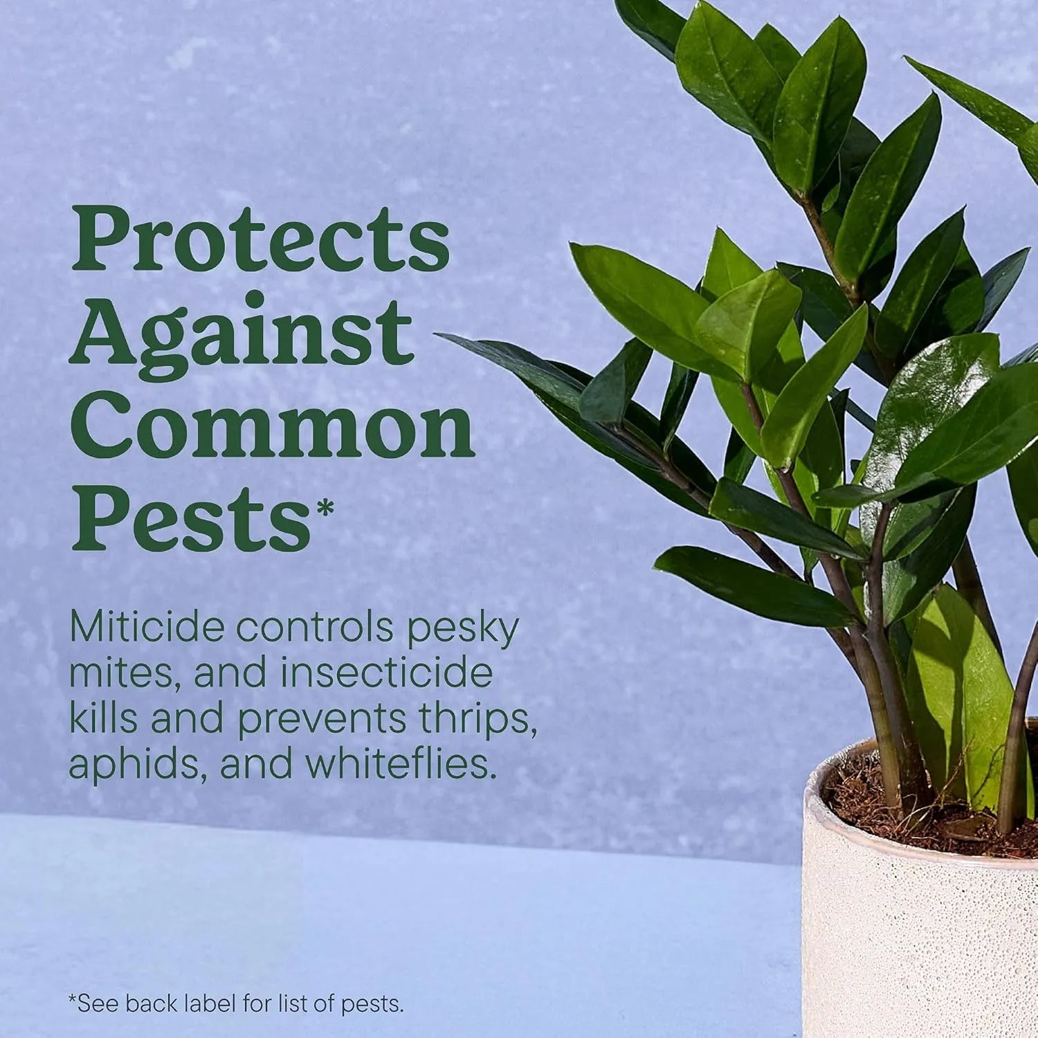 50%OFF 🔥4-in-1 Indoor Plant Pest Control & Leaf Shine Spray