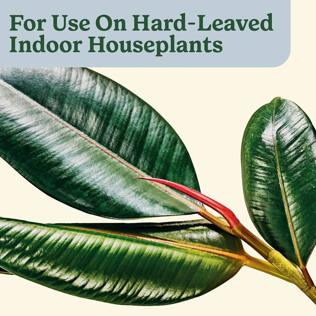 50%OFF 🔥4-in-1 Indoor Plant Pest Control & Leaf Shine Spray