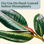 50%OFF 🔥4-in-1 Indoor Plant Pest Control & Leaf Shine Spray