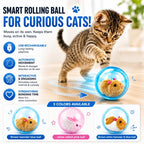50%OFF 🔥Self-Rolling Interactive Cat Ball