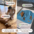 50%OFF 🔥3-in-1 Summer Pet Cooling Bed Set - Ice Silk Mat, Sheet & Pillow for Dogs
