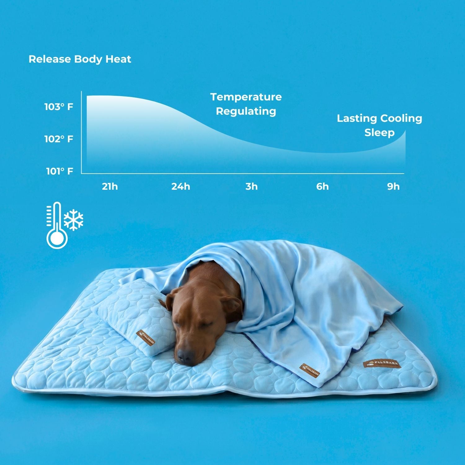 50%OFF 🔥3-in-1 Summer Pet Cooling Bed Set - Ice Silk Mat, Sheet & Pillow for Dogs