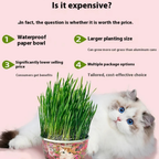 50%OFF 🔥Premium Cat Grass Growing Kit for Indoor Cats, Fresh Natural Wheatgrass for Hairball Control & Digestion Aid