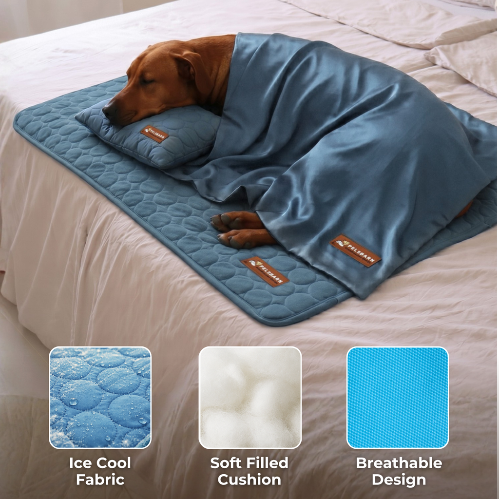 50%OFF 🔥3-in-1 Summer Pet Cooling Bed Set - Ice Silk Mat, Sheet & Pillow for Dogs