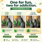 Your Cat Just Got a Personality Upgrade.