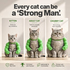Your Cat Just Got a Personality Upgrade.