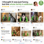 Your Cat Just Got a Personality Upgrade.
