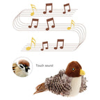50%OFF 🔥Interactive Chirping Bird Cat Toy
