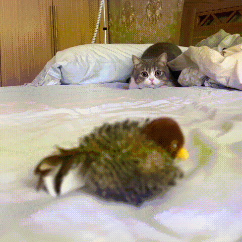 50%OFF 🔥Interactive Chirping Bird Cat Toy