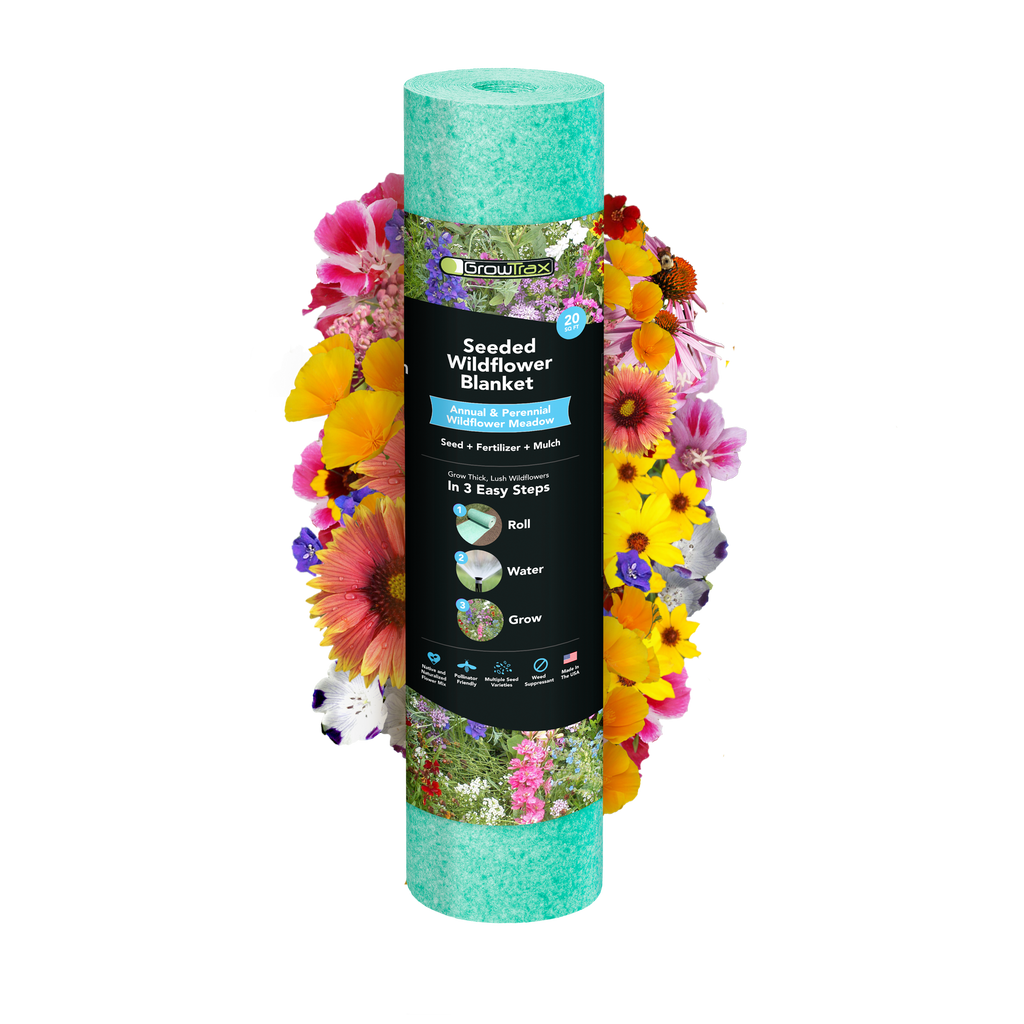 50%OFF 🔥Annual & Perennial Wildflower Meadow