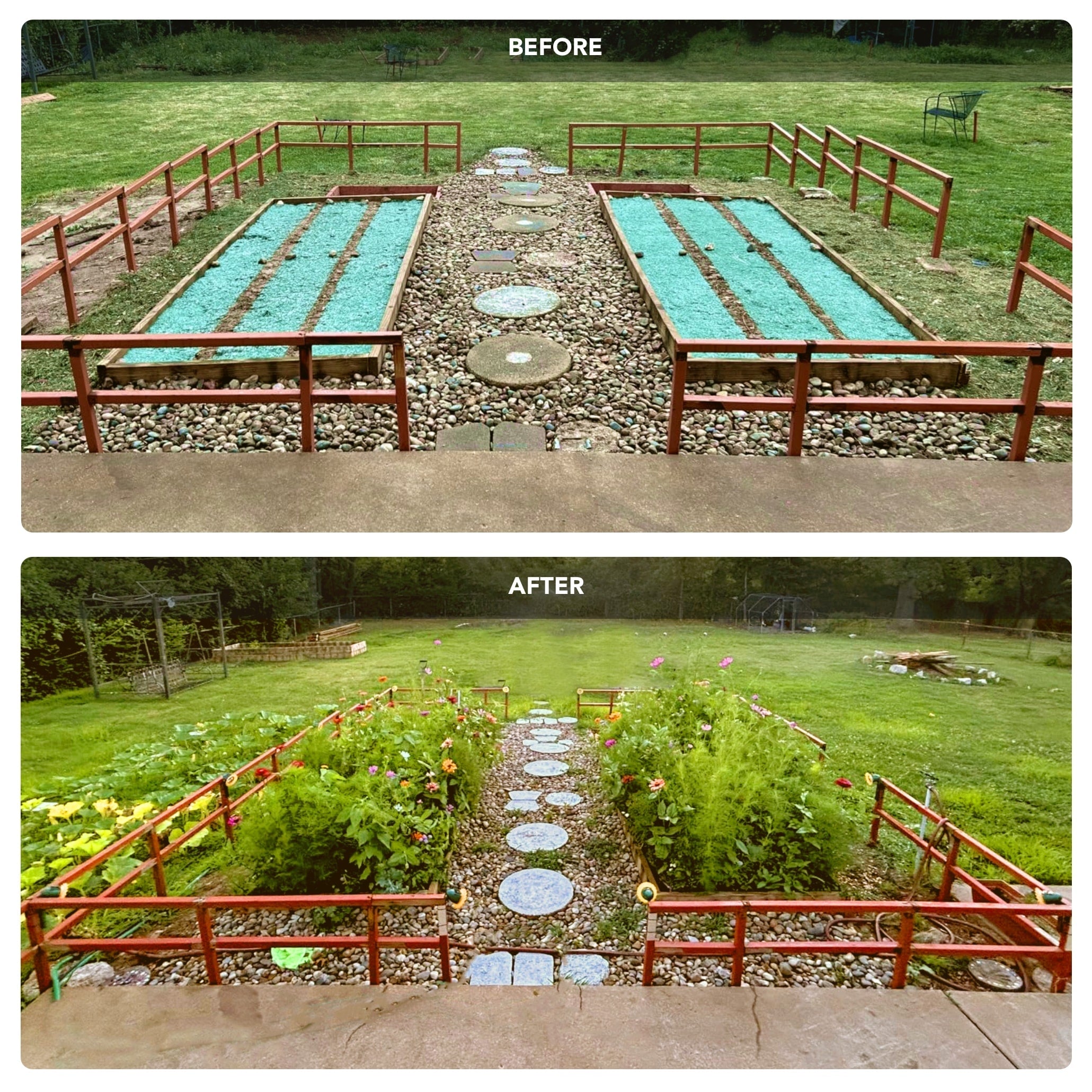 50%OFF 🔥Annual & Perennial Wildflower Meadow